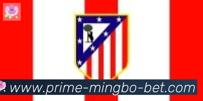 明博体育官网合作伙伴